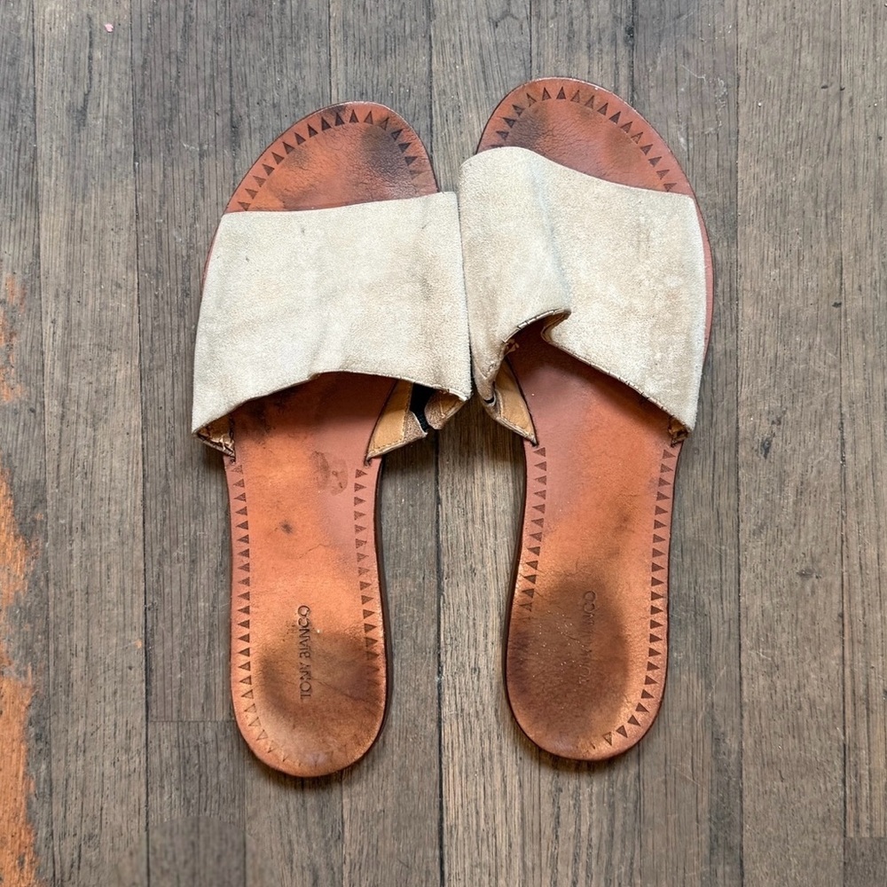 Tony Bianco Tan Suede Slide Sandals | Well Worn Shoes | Size 9